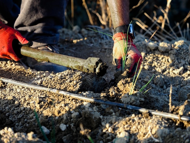 Agriculteur préparant la terre de son verger avec une houe