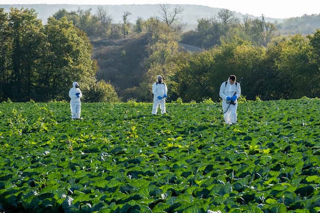 Agriculteur pulvérisant un masque de champ de pesticide contre la récolte