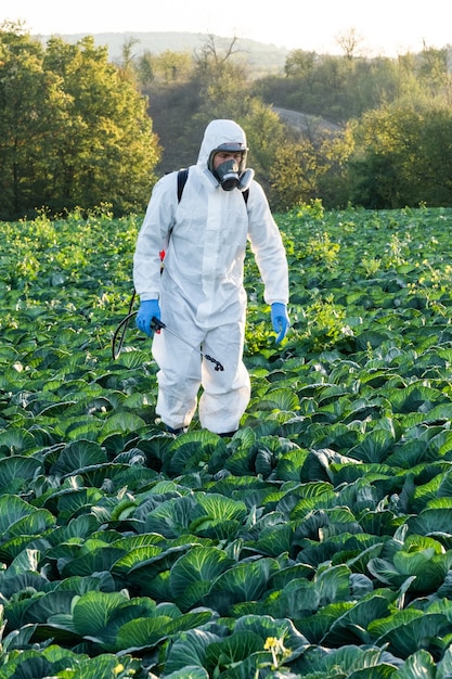 Agriculteur pulvérisant un masque de champ de pesticide pour la récolte de produits chimiques de protection