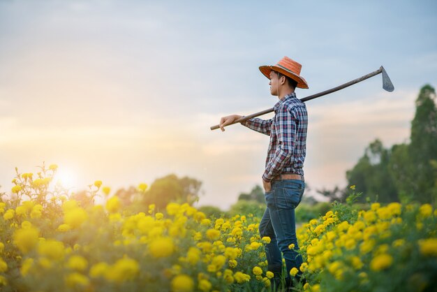 Agriculteur à la recherche de jaunes fleurissent dans le jardin