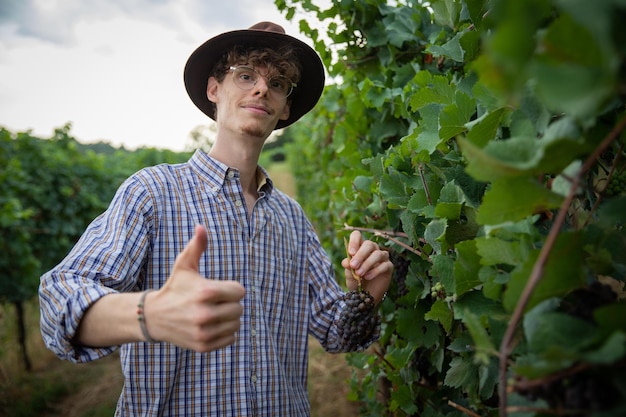 L'agriculteur récolte une grappe de raisin dans son vignoble, il est heureux et lève le pouce