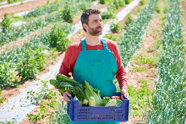 Agriculteur, récolte de légumes dans le verger