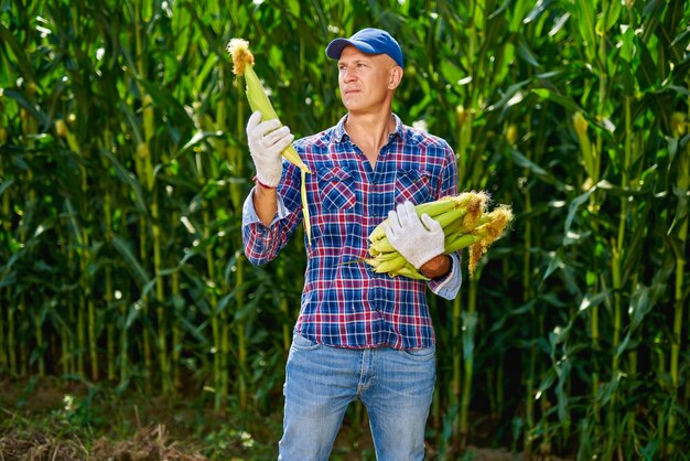 Agriculteur avec une récolte de maïs.