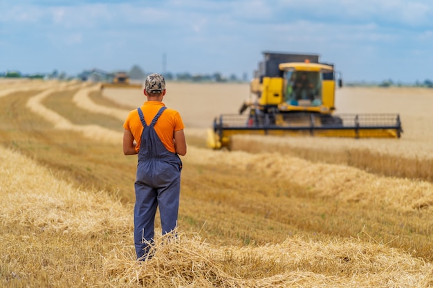 L'agriculteur regarde la moissonneuse-batteuse de travail Vue de dos.