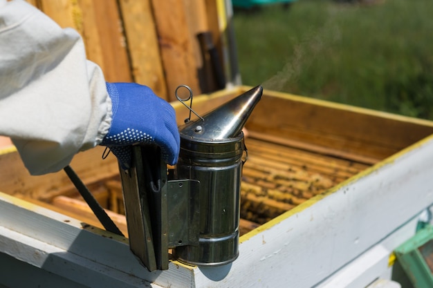 Un agriculteur sur un rucher détient des cadres avec des nids d'abeilles en cire