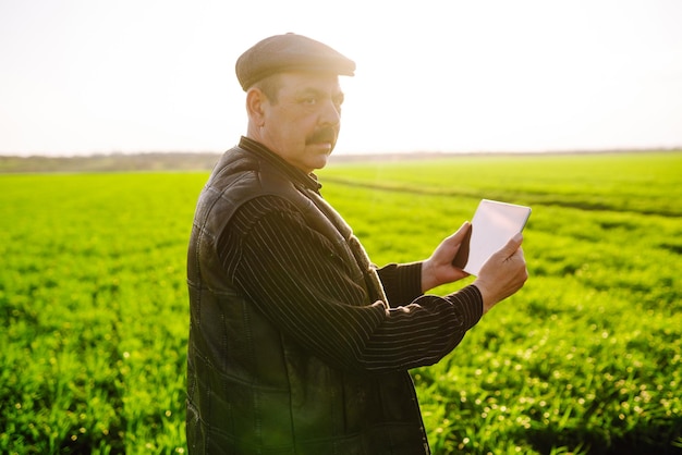 L'agriculteur avec une tablette numérique dans ses mains vérifie l'état du jeune blé dans le champ Rich Harvest