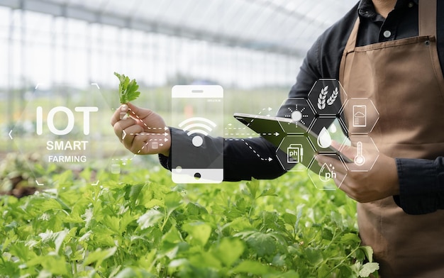 Agriculteur de technologie agricole homme utilisant une tablette et un smartphone analysant les données et l'icône d'image du matin