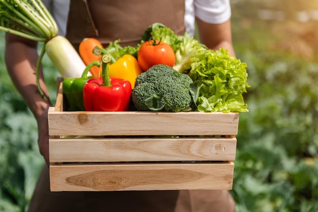 Agriculteur tenant une boîte en bois pleine de légumes crus frais Panier avec des légumes frais biologiques et des poivrons dans les mains à la lumière du soleil
