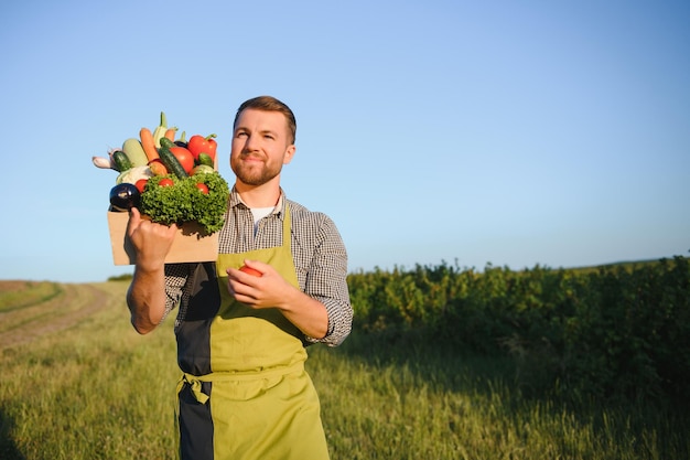 Agriculteur tenant une boîte avec des légumes dans le champ