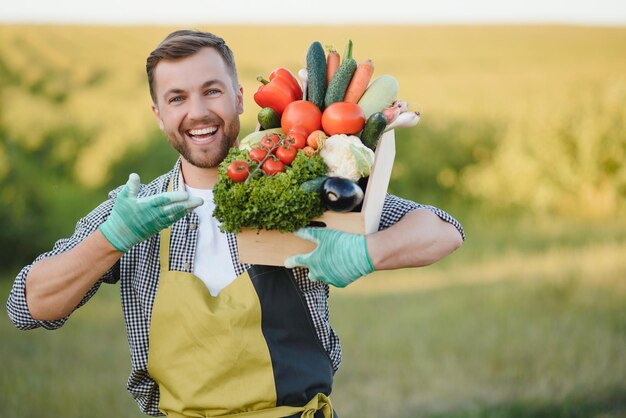 Agriculteur tenant une boîte avec des légumes dans le champ