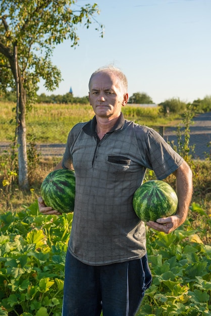 Agriculteur tenant des pastèques dans le jardin