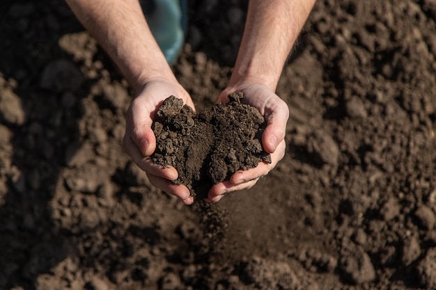 Un agriculteur sur le terrain vérifie le sol Mise au point sélective