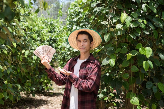 Un agriculteur thaïlandais portant une chemise rouge se tient dans un jardin de poivre et détient des billets de banque thaïlandais