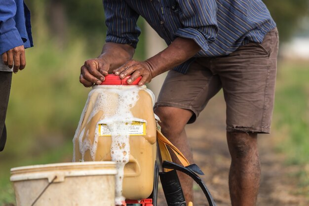 Un agriculteur thaïlandais prépare un produit chimique dans le réservoir du pulvérisateur avant de le pulvériser sur une jeune rizière verte