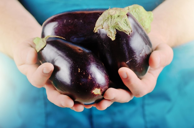 L'agriculteur tient des aubergines biologiques fraîches dans ses mains Concept de récolte de légumes