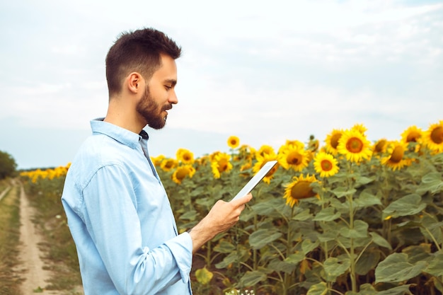 Un agriculteur tient un gadget de tablette pour enquêter sur la recherche d'un champ de tournesol en fleurs jaunes à l'extérieur du lever du soleil