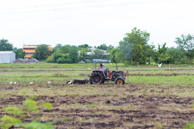 Agriculteur en tracteur préparant un terrain avec un cultivateur de lit de semences