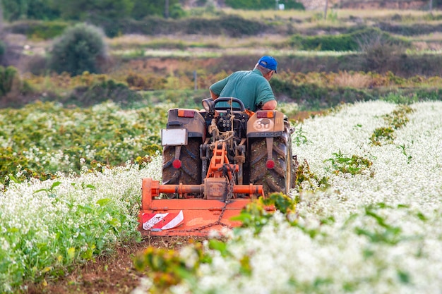 Agriculteur avec tracteur