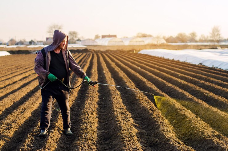 Photo l'agriculteur traite le champ des mauvaises herbes et de l'herbe pour la culture des pommes de terre utilise des produits chimiques dans l'agriculture