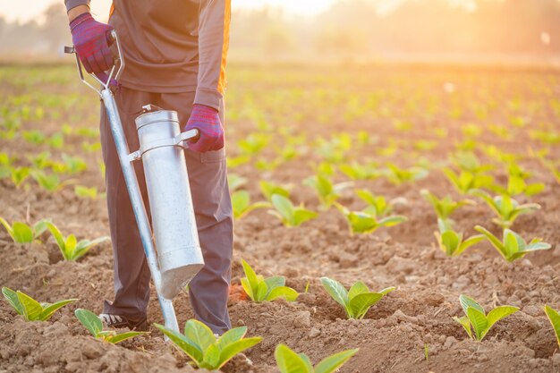 Agriculteur travaillant dans le domaine et donnant de l'engrais en creusant un outil dans le sol