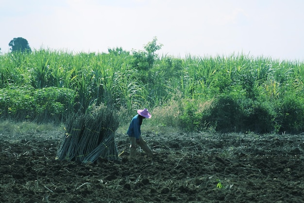 Agriculteur travaillant dans une ferme