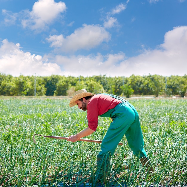 Agriculteur travaillant dans un verger d&#39;oignons avec houe