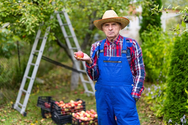 Agriculteur en uniforme et chapeau debout dans un verger de pommiers. Jardinage fruitier de campagne en plein air.