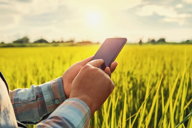 Agriculteur utilisant un rapport de contrôle mobile de l&#39;agriculture à la ferme