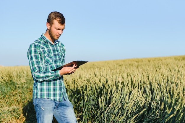 Agriculteur vérifiant les progrès du champ de blé, tenant une tablette à l'aide d'Internet.