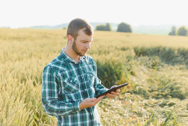 Agriculteur vérifiant les progrès du champ de blé, tenant une tablette à l'aide d'Internet.