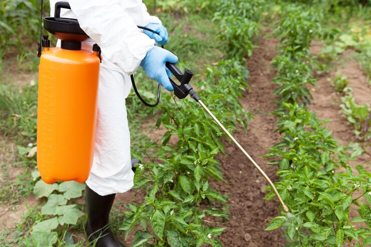 Photo agriculteur en vêtements de protection pulvérisant un herbicide dans un jardin de légumes non biologique