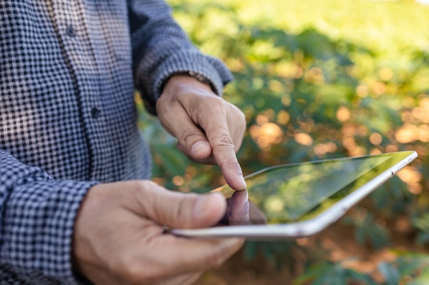 Les agriculteurs asiatiques utilisent des tablettes numériques pour collecter des informations et analyser les cultures de leurs champs.