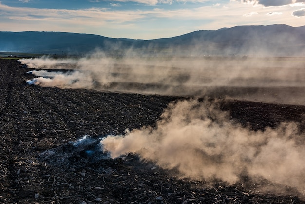 Photo les agriculteurs brûlent l'herbe sèche et le chaume de paille sur le terrain en automne, une autre cause du réchauffement climatique.