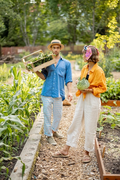 Agriculteurs avec des légumes fraîchement cueillis au jardin