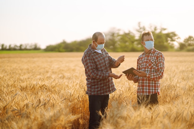Des agriculteurs portant des masques médicaux stériles discutent des problèmes agricoles sur un champ de blé. Agro-entreprise. Covid19.