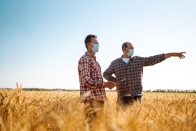 Des agriculteurs portant des masques médicaux stériles discutent de questions agricoles sur un champ de blé Agro business Covid19