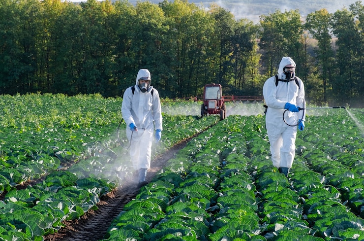 Photo les agriculteurs pulvérisant un masque de champ de pesticide récolte deux produits chimiques de protection