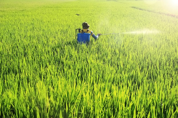 les agriculteurs pulvérisent des pesticides liquides pour repousser les ravageurs