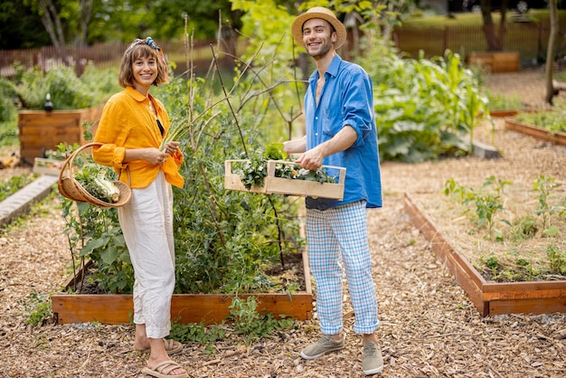 Agriculteurs récoltant au jardin de la maison