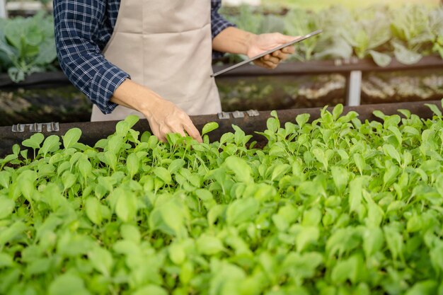 Les agriculteurs utilisent le principal réseau d'information sur Internet à partir de leurs tablettes pour surveiller, tester et sélectionner de nouvelles méthodes de culture pour les agriculteurs