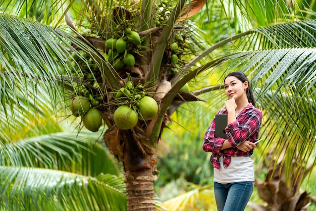 Une agricultrice asiatique heureuse avec un cocotier dans une plantation en Thaïlande Le concept d'exportation de noix de coco thaïlandaises La technologie agricole