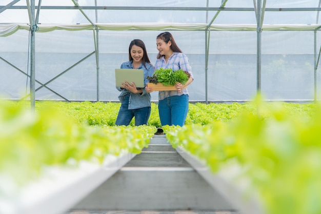 Agricultrice asiatique tenant un panier de légumes de salade de légumes frais sur un bio