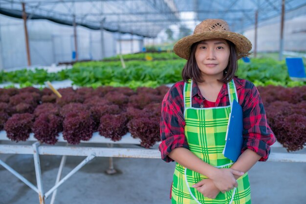 Agricultrice asiatique travaillant à la ferme de saladePlanter des légumes hydroponiques biologiques pour les petites entreprises