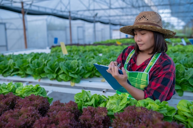 Agricultrice asiatique travaillant à la ferme de saladePlanter des légumes hydroponiques biologiques pour les petites entreprises