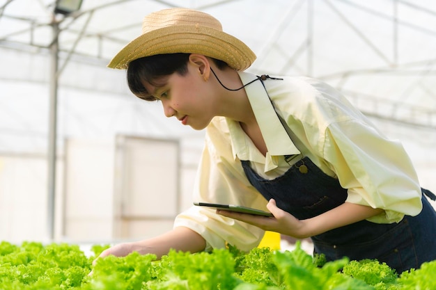 Agricultrice asiatique travaillant à la ferme de saladesFemme asie Cultiver des légumes pour une entreprise de vente en gros sur le marché du frais