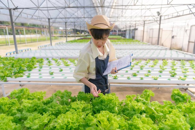 Agricultrice asiatique travaillant à la ferme de saladesFemme asie Cultiver des légumes pour une entreprise de vente en gros sur le marché du frais