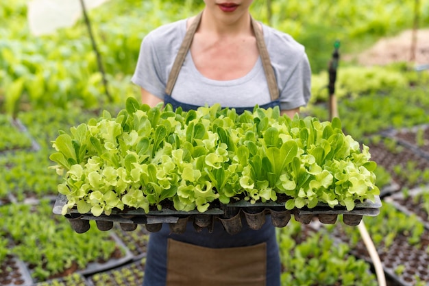 Agricultrice asiatique travaillant tôt à la ferme tenant un panier en bois de légumes frais et de tablettexA