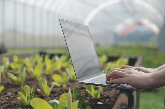 Agricultrice asiatique utilisant une tablette numérique dans un potager à effet de serre