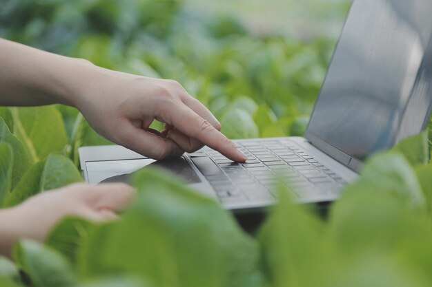 Agricultrice asiatique utilisant une tablette numérique dans un potager à effet de serre