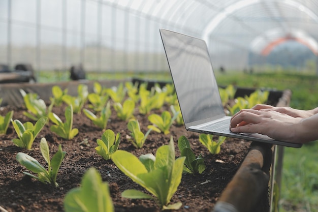 Agricultrice asiatique utilisant une tablette numérique dans un potager à effet de serre